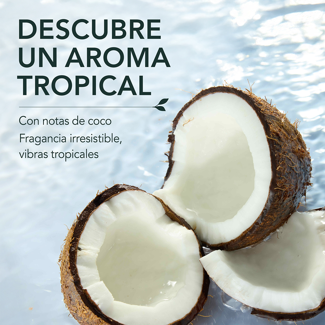 Descubre un aroma tropical con notas de coco, fragancia irresistible y vibras tropicales